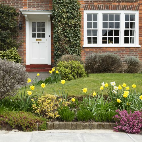 A period house in Pinner, London, with a front garden planted with daffodil flowers