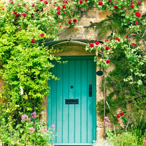 Green wooden doors in an old traditional English stone cottage surrounded by climbing red roses and flowers